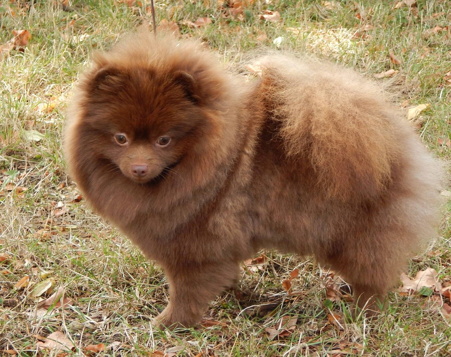 244402195_4725777667435502_1258539839490487411_n 2.jpg